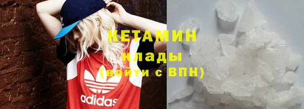 амф Гусев