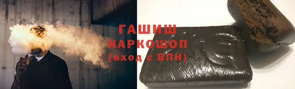 амф Гусев