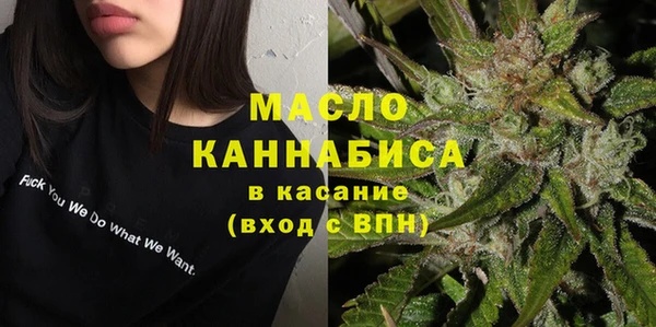 амф Гусев