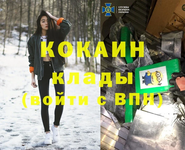 амф Гусев