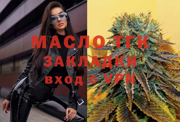 амф Гусев