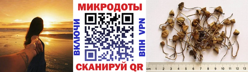 Псилоцибиновые грибы мицелий  Купить закладки  Рассказово 