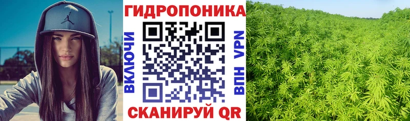 Бошки Шишки SATIVA & INDICA  Купить  Рассказово 